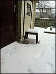 Biebel in de sneeuw.jpg